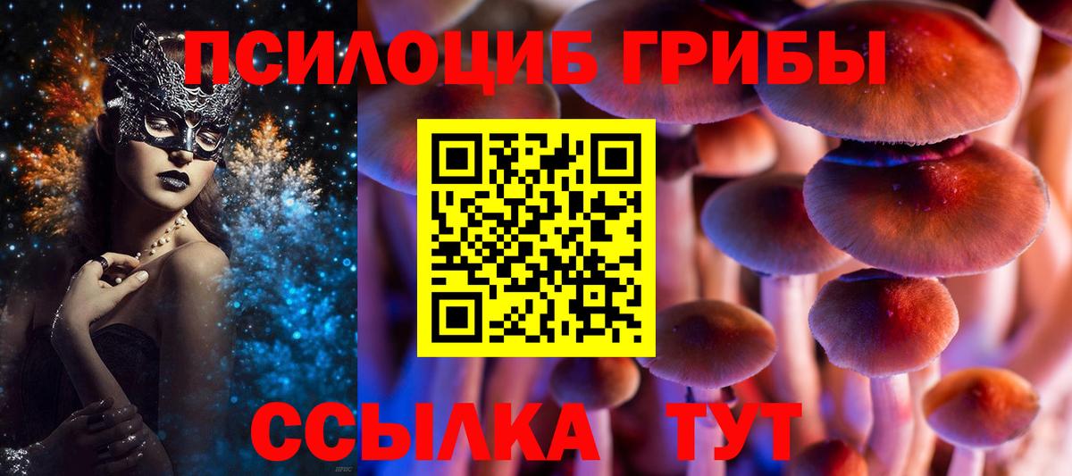 Галлюциногенные грибы прущие грибы Лабинск