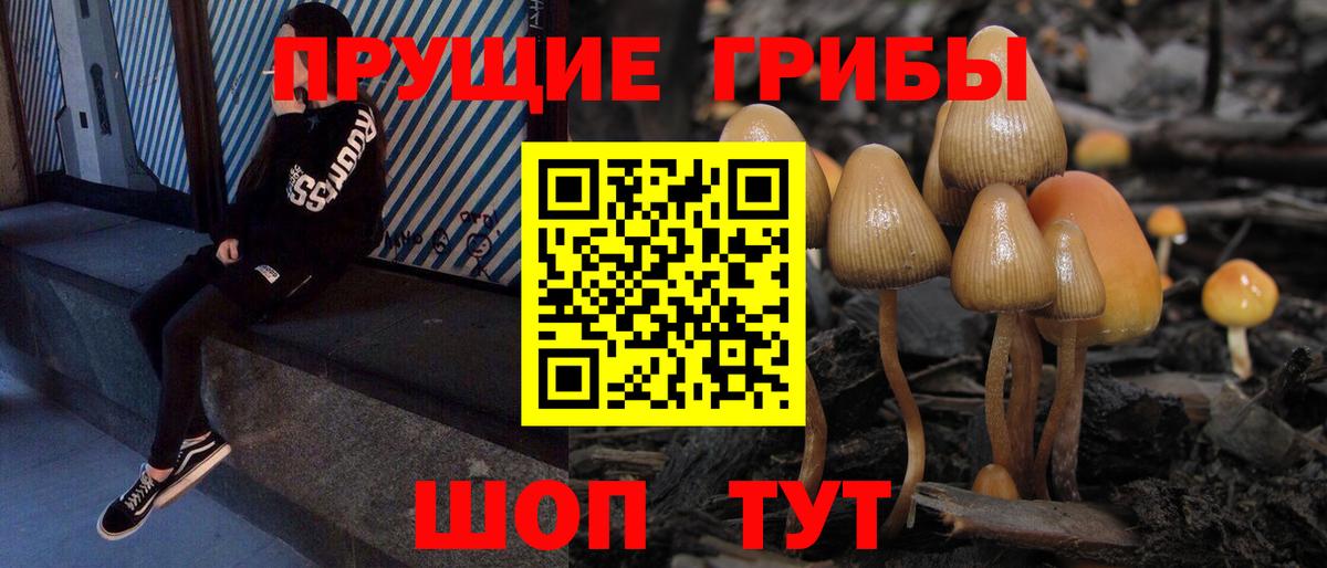 Лабинск  Псилоцибиновые грибы Psilocybe  Вход с VPN  Галлюциногенные грибы GOLDEN TEACHER 